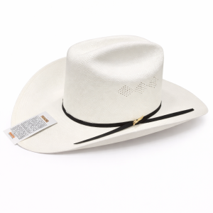 Sombrero Palma Panama